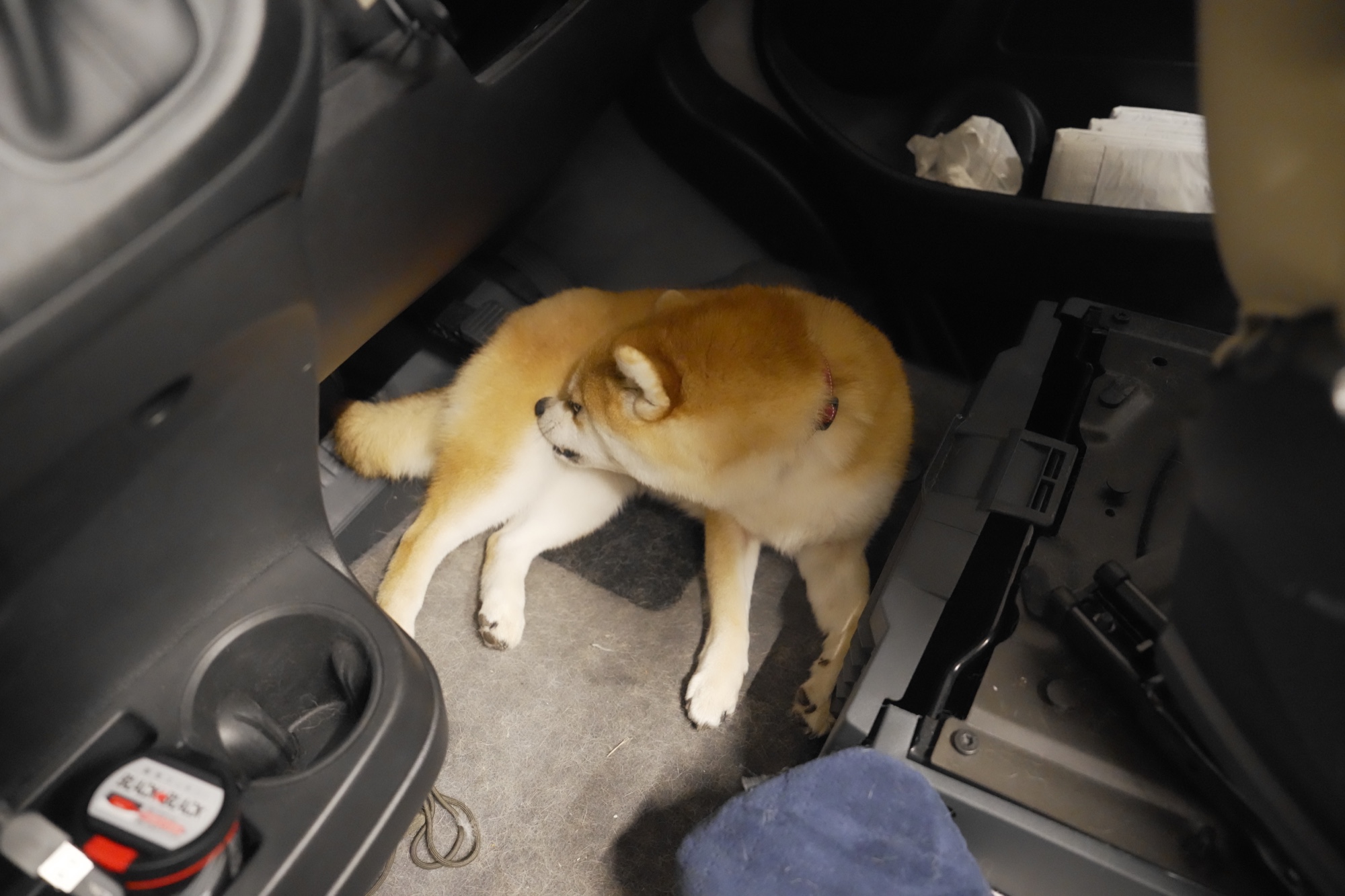 キャンピングカーの中でくつろぐいろは